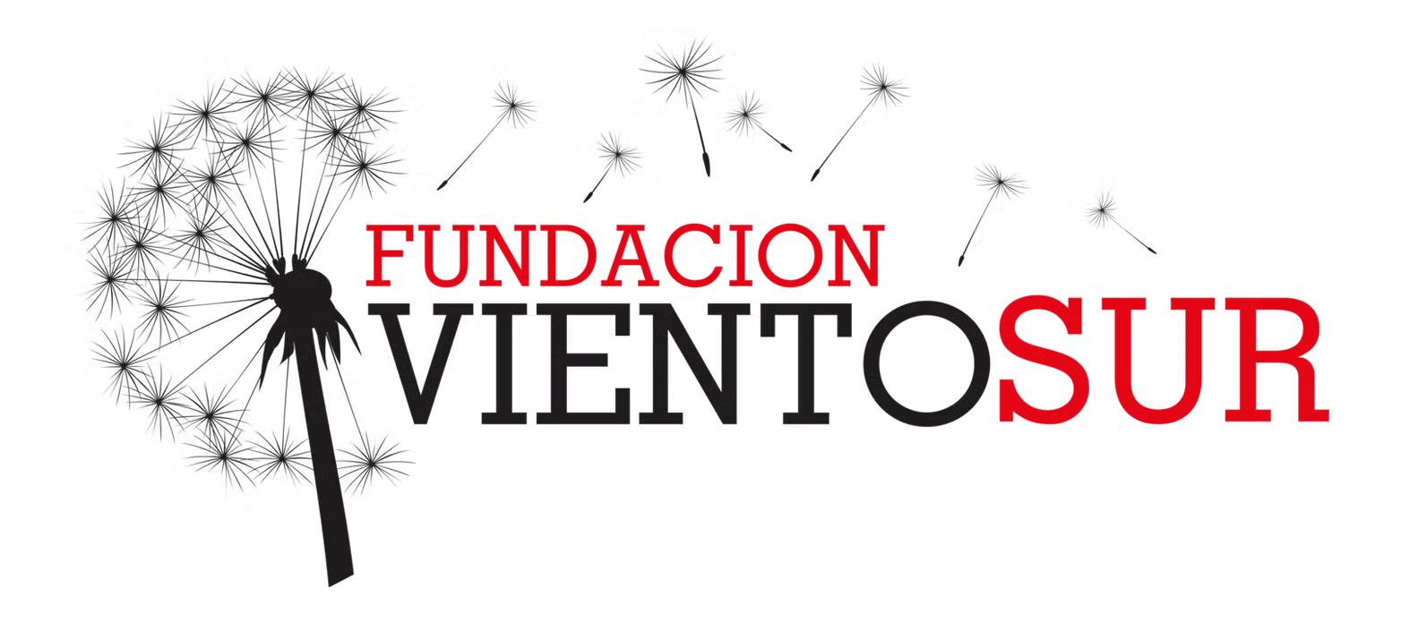 Fundación Viento Sur
